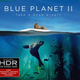Blue Planet || | $30 | Walmart